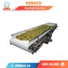 Băng Chuyền Thực Phẩm Băng chuyền thực phẩm
