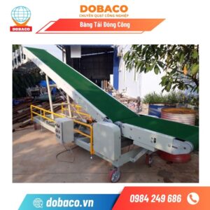 Băng Tải Đóng Công Băng tải đóng công