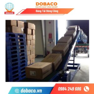 Băng Tải Đóng Công Băng tải đóng công