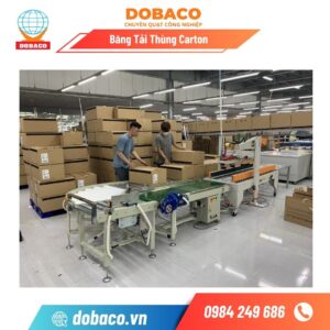 Băng Tải Thùng Carton