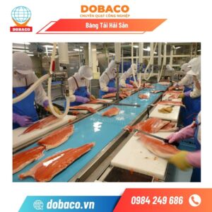 Băng Tải Hải Sản Băng tải hải sản