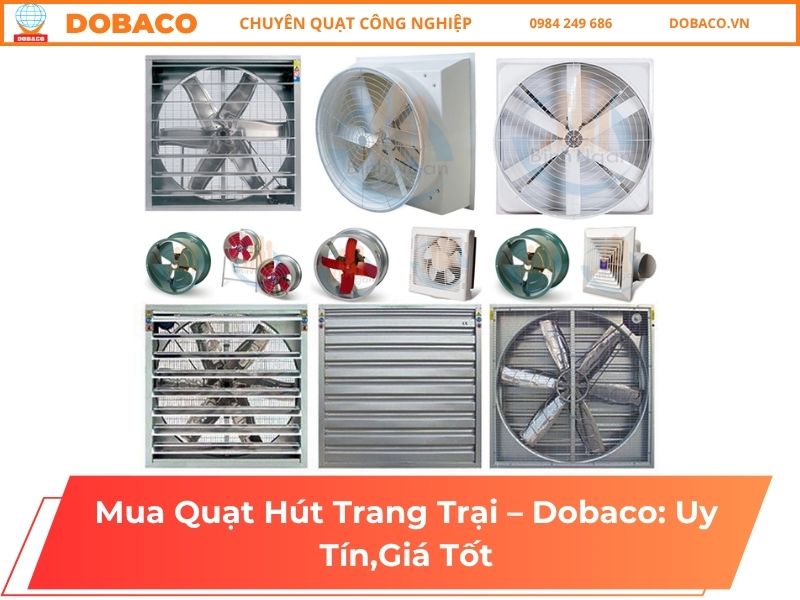 Quạt Hút Trang Trại: Cấu Tạo, Giá Và Cách Chọn Quạt Hiệu Quả Quạt Hút Trang Trại