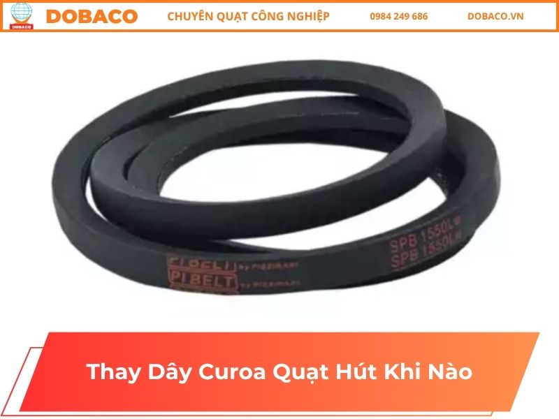 Thay Dây Curoa Quạt Hút Khi Nào