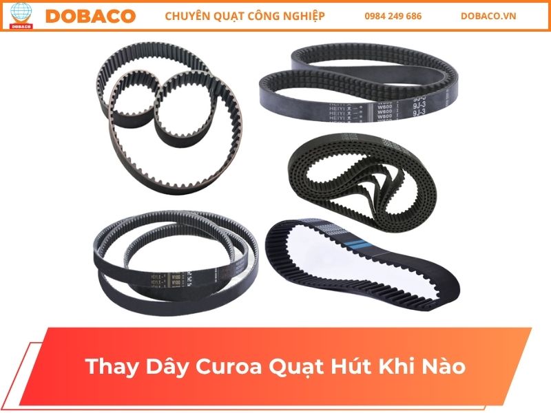 Thay Dây Curoa Quạt Hút Khi Nào