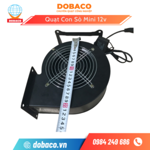 Quạt Con Sò Mini 12v