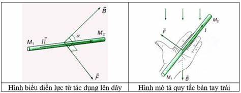 Đặc điểm của lực từ