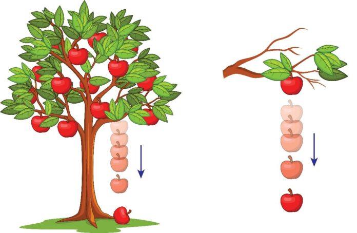 Trọng lực là gì ? Khái niệm - Công thức Đặc điểm của trọng lực