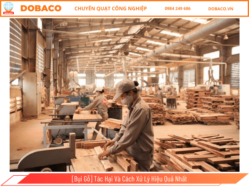 [Bụi Gỗ] Tác Hại Và Cách Xử Lý Hiệu Quả Nhất