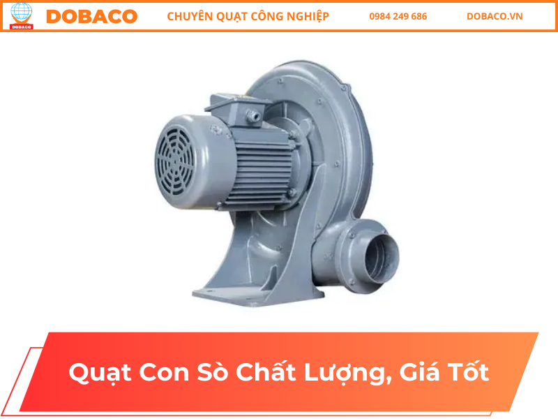 Quạt Con Sò Chất Lượng, Giá Tốt Quạt Con Sò Chất Lượng, Giá Tốt
