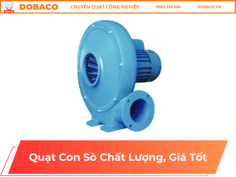 Quạt Con Sò Chất Lượng, Giá Tốt Quạt Con Sò Chất Lượng, Giá Tốt