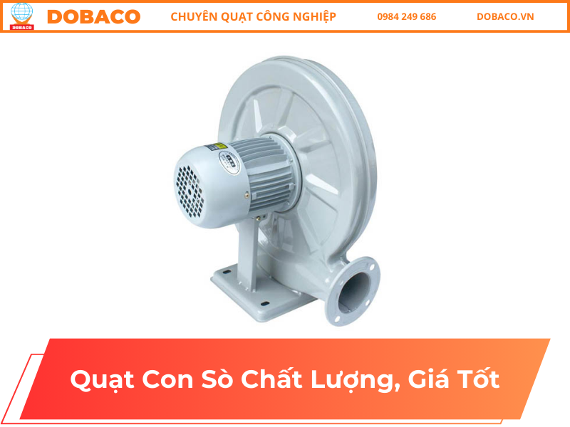 Quạt Con Sò Chất Lượng, Giá Tốt