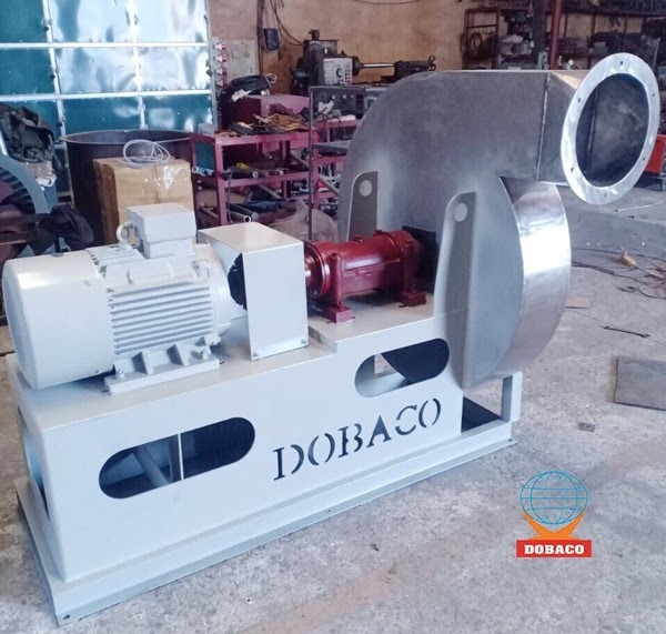 Giới thiệu 487063638 122193947834120460 2288500663825393872 n