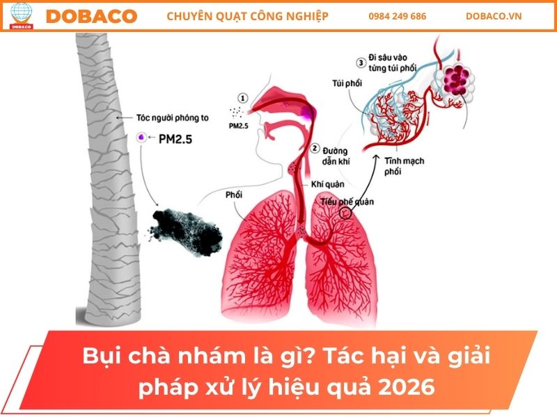 Bụi chà nhám là gì? Tác hại và giải pháp xử lý hiệu quả 2026 Bụi chà nhám là gì_ Tác hại và giải pháp xử lý hiệu quả 2026