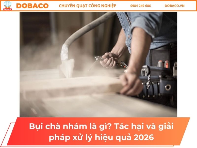 Bụi chà nhám là gì_ Tác hại và giải pháp xử lý hiệu quả 2026