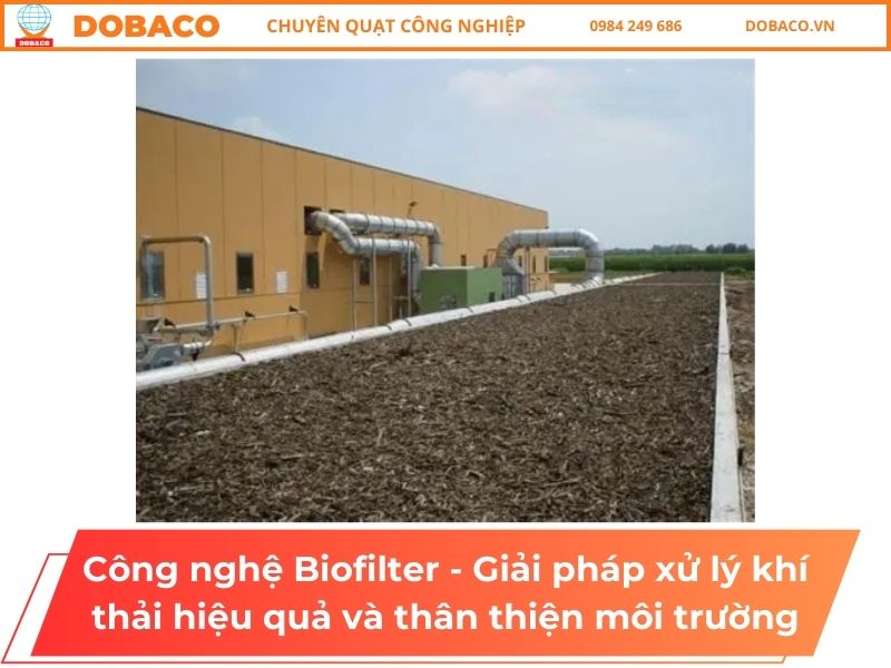 Công nghệ Biofilter - Giải pháp xử lý khí thải hiệu quả và thân thiện môi trường