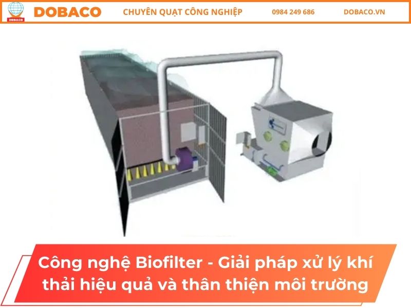 Công nghệ Biofilter - Giải pháp xử lý khí thải hiệu quả và thân thiện môi trường