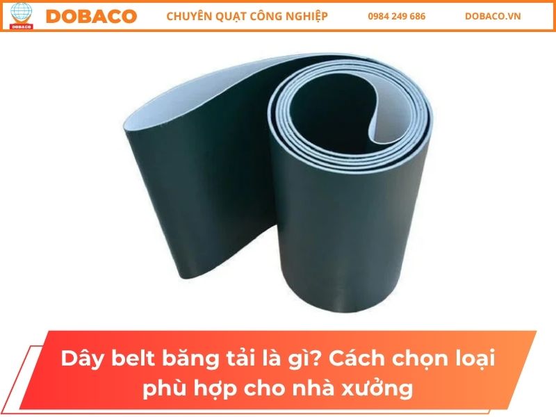 Dây belt băng tải là gì? Cách chọn loại phù hợp cho nhà xưởng