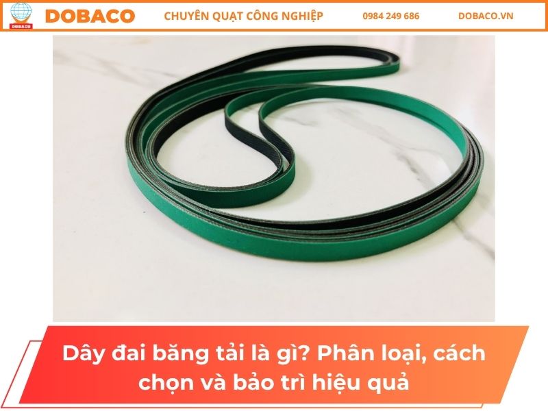 Dây đai băng tải là gì? Phân loại, cách chọn và bảo trì hiệu quả