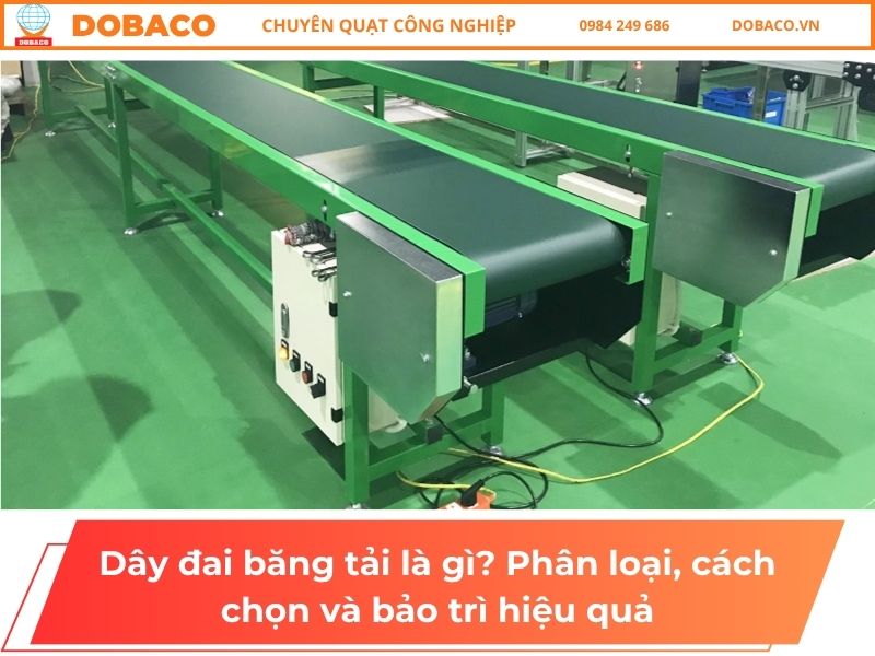 Dây đai băng tải là gì? Phân loại, cách chọn và bảo trì hiệu quả