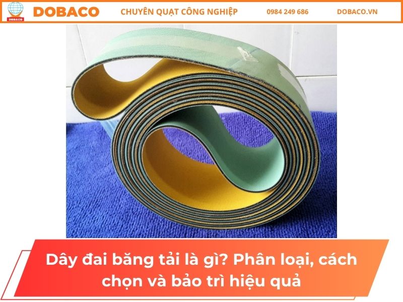 Dây đai băng tải là gì? Phân loại, cách chọn và bảo trì hiệu quả