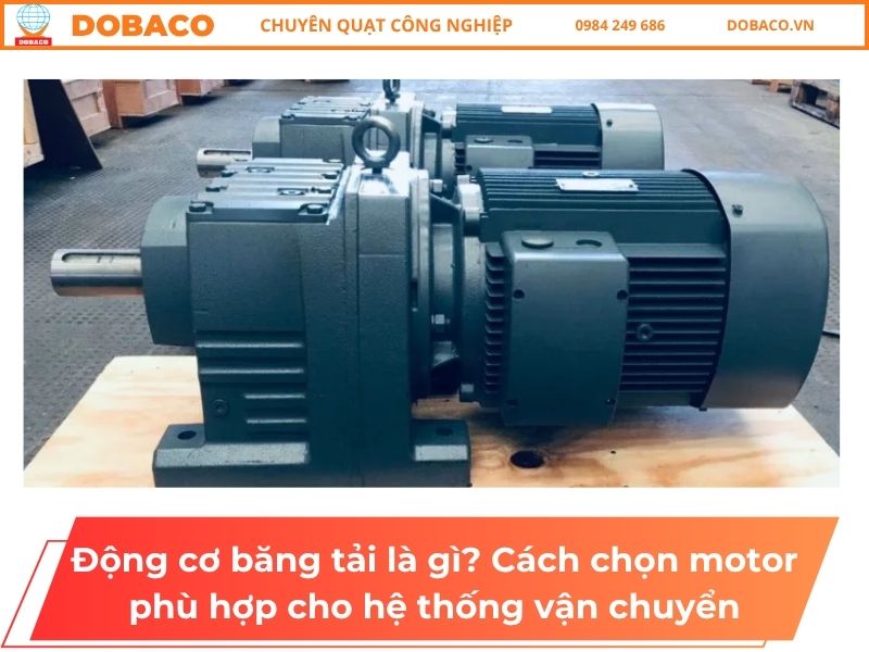 Động cơ băng tải là gì? Cách chọn motor phù hợp cho hệ thống vận chuyển