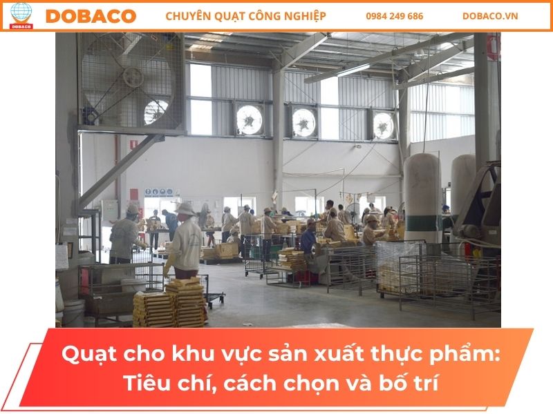 Quạt cho khu vực sản xuất thực phẩm: Tiêu chí, cách chọn và bố trí