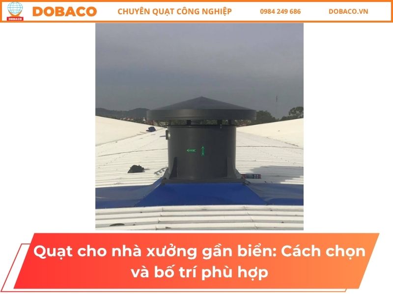 Quạt cho nhà xưởng gần biển: Cách chọn và bố trí phù hợp Quạt cho nhà xưởng gần biển: Cách chọn và bố trí phù hợp