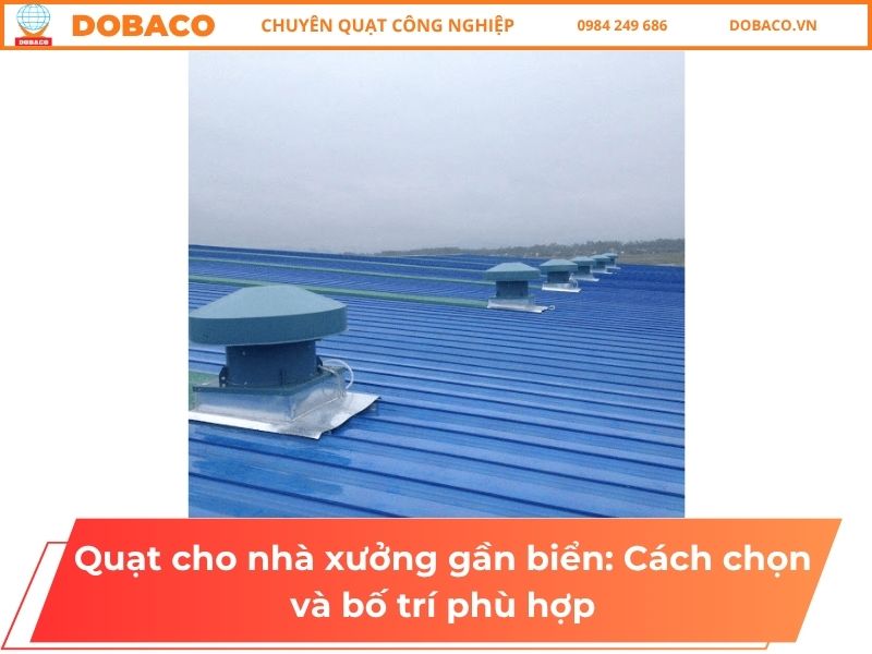 Quạt cho nhà xưởng gần biển: Cách chọn và bố trí phù hợp Quạt cho nhà xưởng gần biển: Cách chọn và bố trí phù hợp