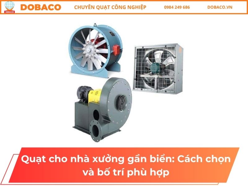Quạt cho nhà xưởng gần biển: Cách chọn và bố trí phù hợp